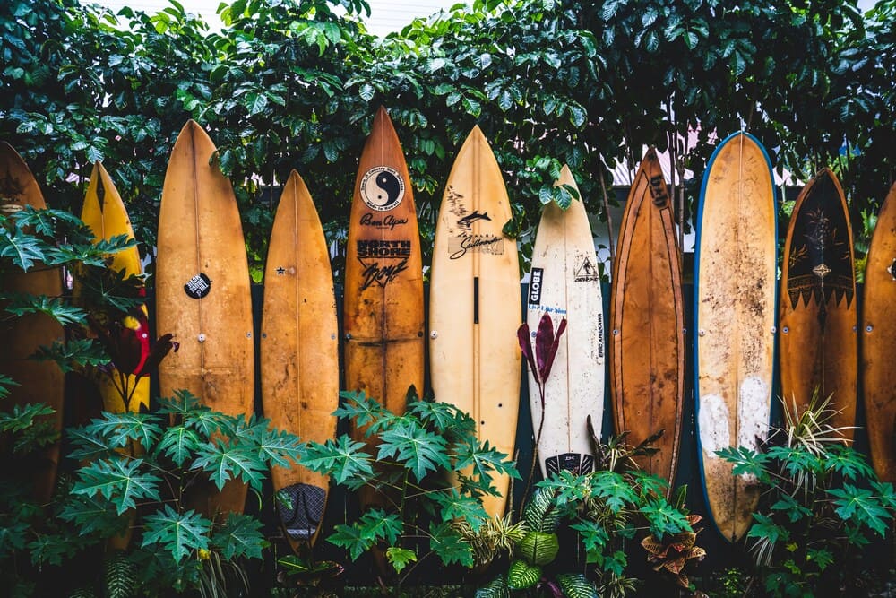 Understanding Surfboard Shapes and Designs