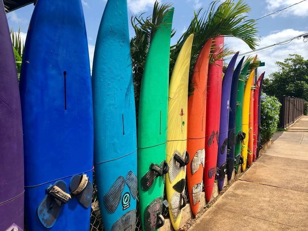 Various surfboards.